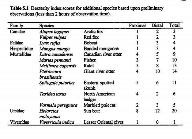 Grizzly Bear Anatomy | Message Board