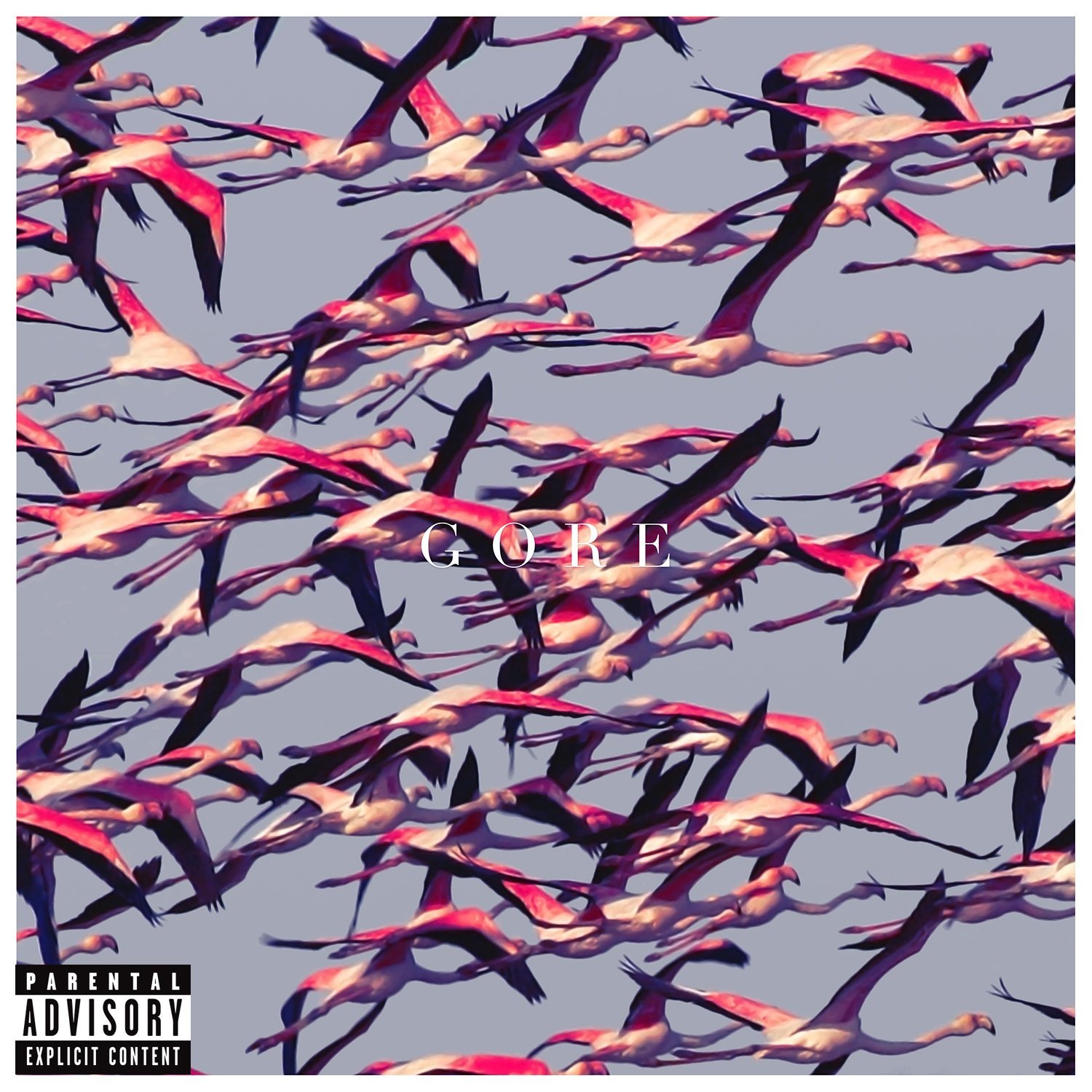 Deftones : Gore Deftones : Gore