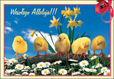 http://www.zupimages.net/up/16/12/zi8a.jpg
