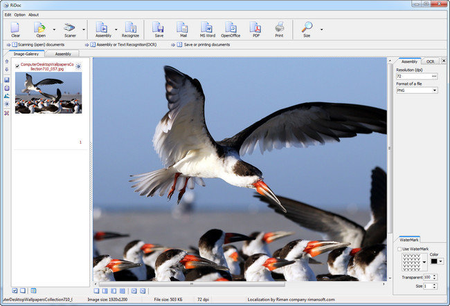RiDoc 4.3.8.8 Full + Serial Key