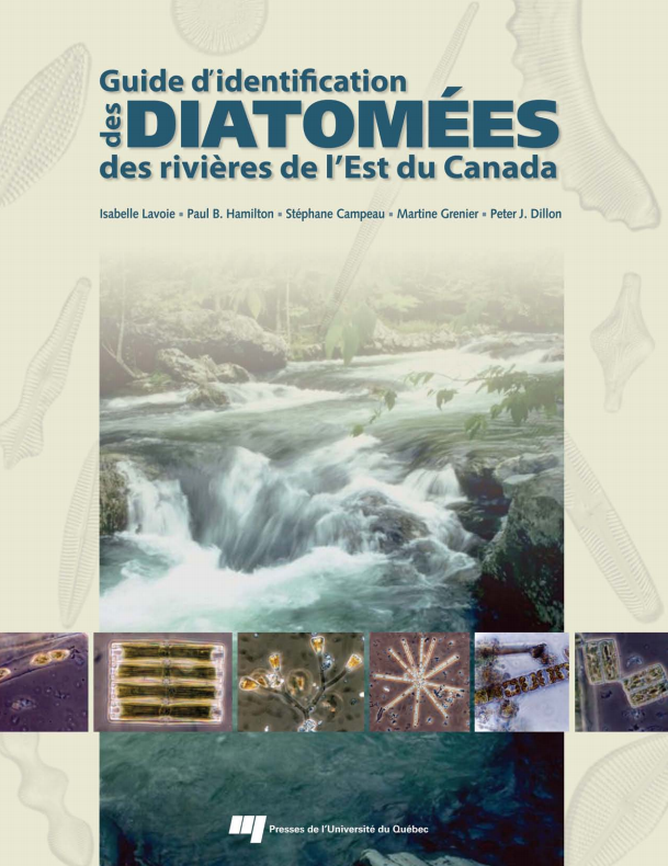 Guide d'identification des diatomées des rivières de l'Est du Canada 