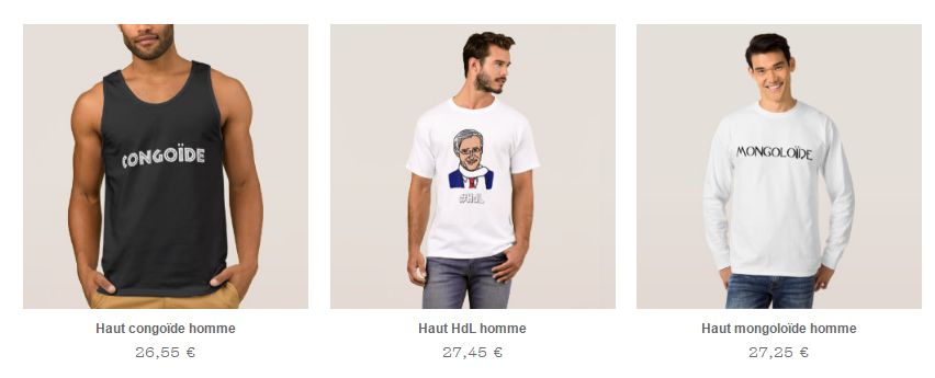 http://www.zupimages.net/up/17/07/6978.png
