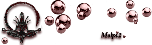 ymj5.png