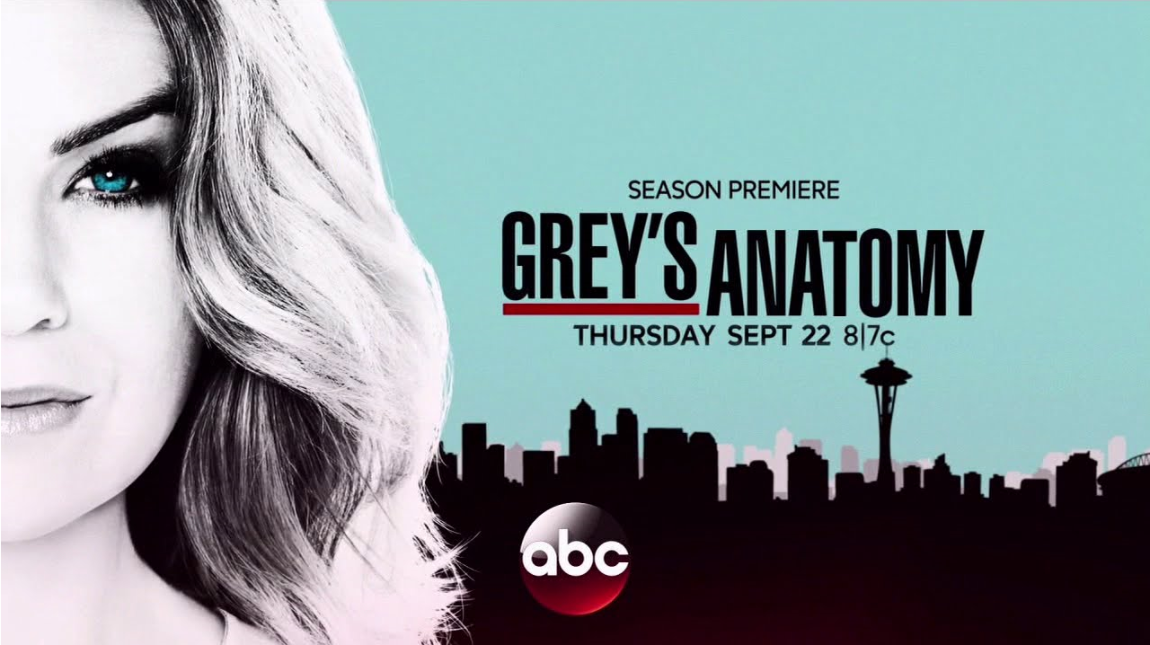 Grey’s Anatomy (saison 13) diffusée sur TF1