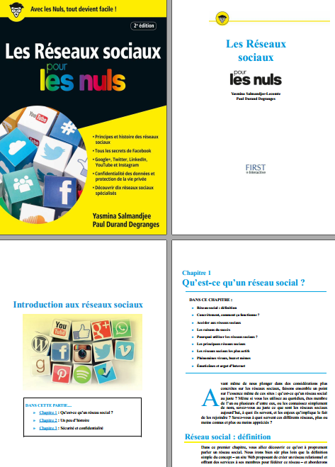 Les réseaux sociaux pour les nuls 2e Edition ( 2017 ).