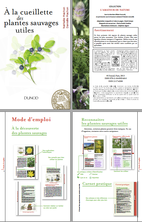 A la cueillette des plantes sauvages utiles 2e Edition.