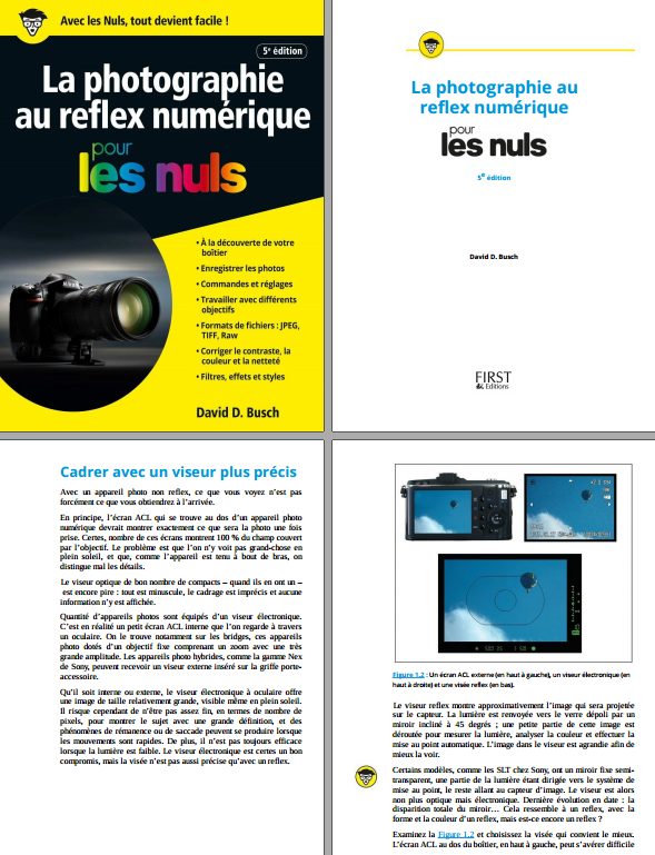 La photographie au reflex numérique pour les nuls 5e Edition ( Mai 2017 ).