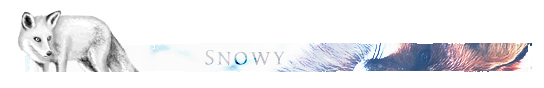 http://www.zupimages.net/up/17/47/fr58.png