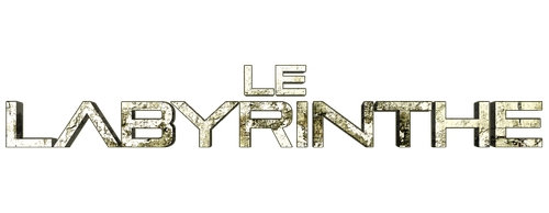 Télécharger Le.Labyrinthe.2014.MULTi.TRUEFRENCH.1080p.BluRay.DTS-HDMA