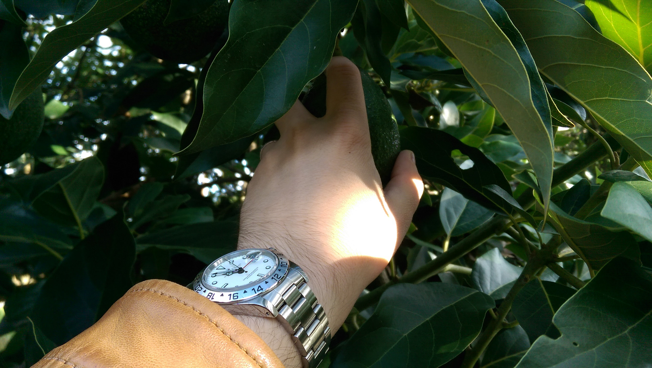 ****La montre du jour ! vol. 18**** - Page 12 5xsw