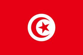 Armée Tunisienne Ewfu
