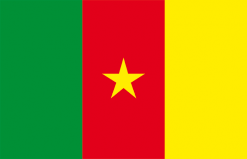 Armées Camerounaise Nc6c
