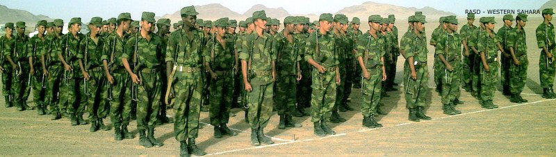 Armée Sarhaouie 36ws