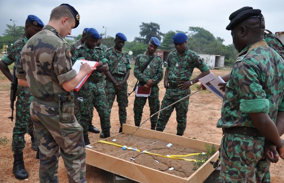 Armée Ivoirienne Zjl9
