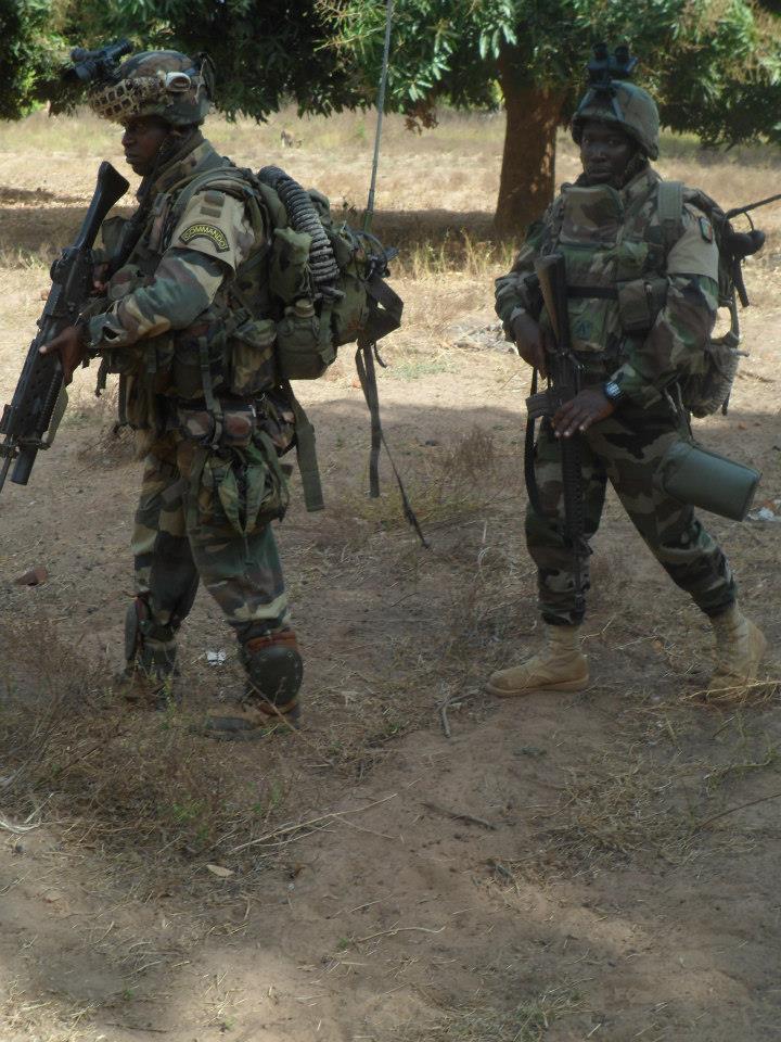 Armée Sénégalaise F0qa