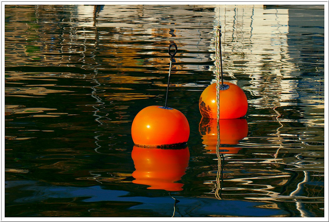 Les oranges bouées Pgjt