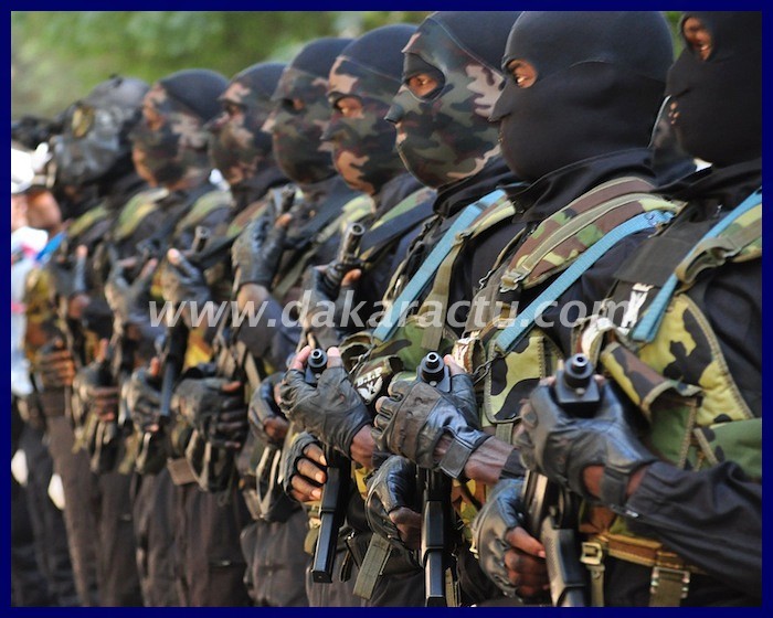 Armée Sénégalaise 28k8