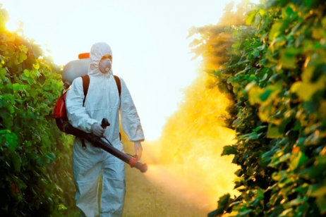 Le "Roundup" de Monsanto provoque des malformations 7yh6