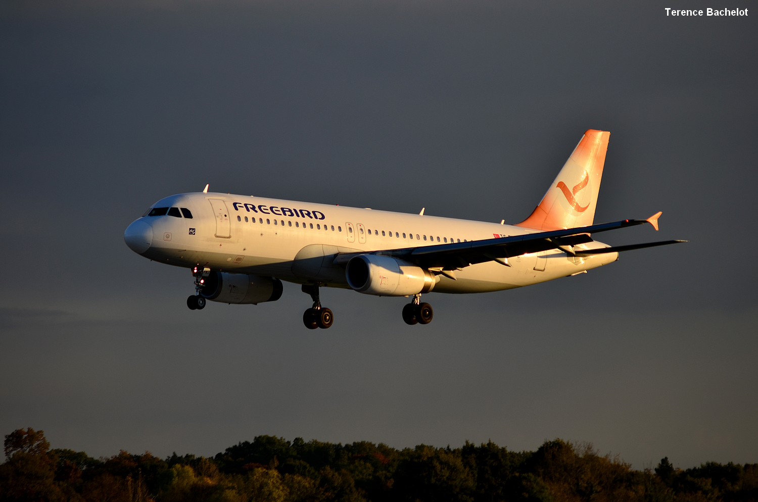 Spotting du 05/11/2014: A320 Freebird Airlines  3m7r