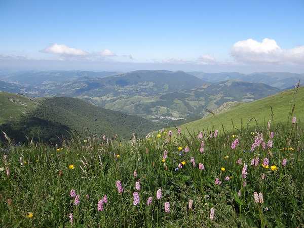 Monts d' Auvergne (idées de balades) Aehz