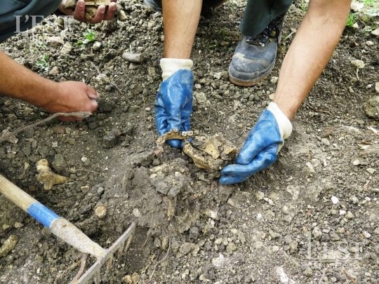 La découverte des restes d'un soldat de 14-18 dans le village détruit de Fleury-devant-Douaumont  Yuyf