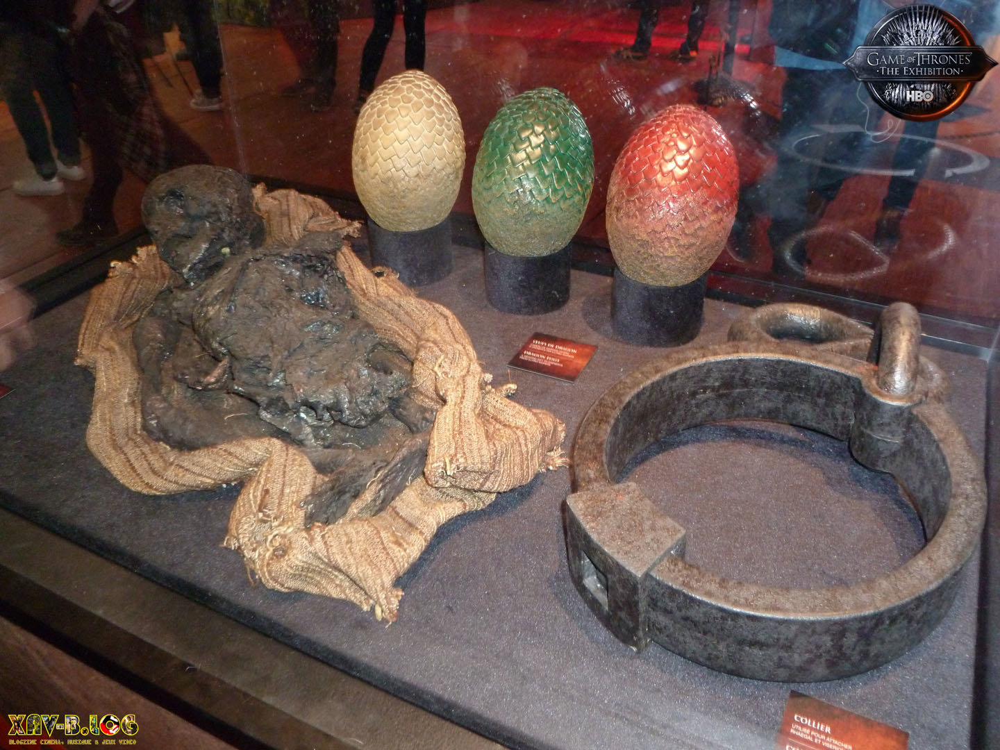 Vitrine Dragon