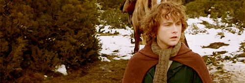 Frodo Baggins ❧ en route pour l'aventure 4q24