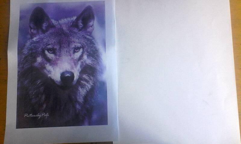 Tuto pour dessiner un portrait de loup. o/ (partie 1) H2gn
