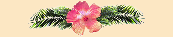 hibiscus de fond de categorie