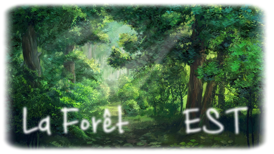   La Forêt EST :. K2h1