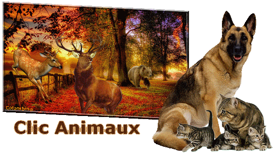 Clic animaux - Page 3 Zdpx