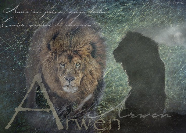 ₪ Arwen, Alpha suprême. Ijnr