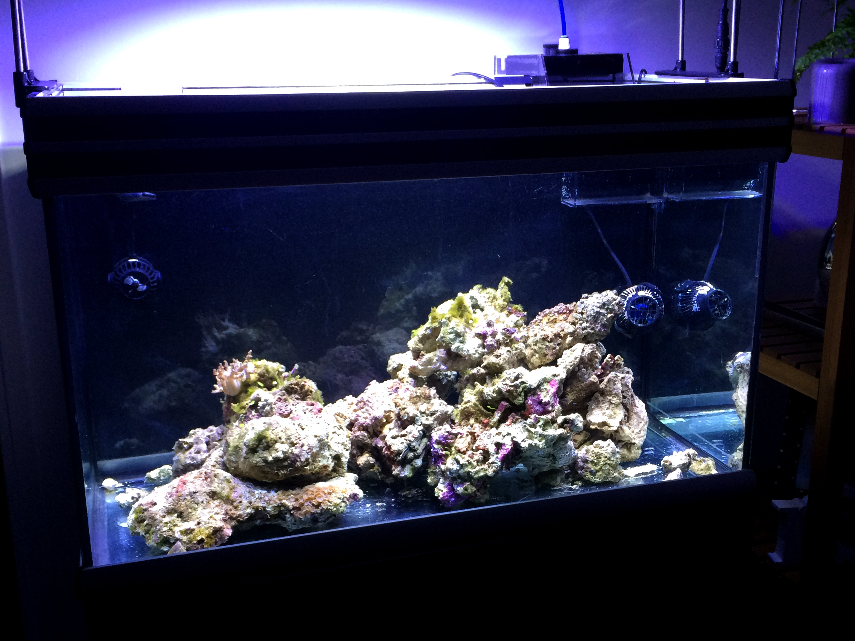 Micro Reef 120L 1iqt