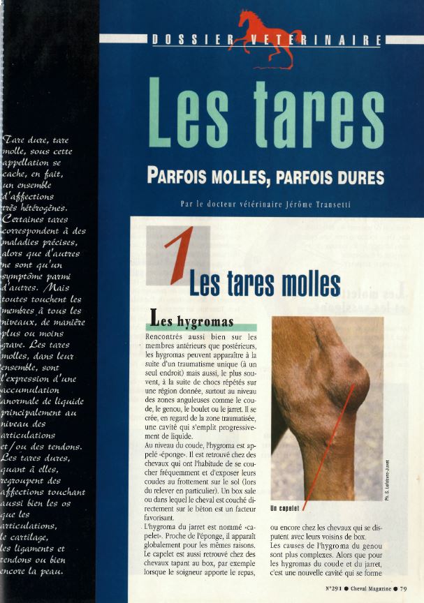 Cheval mag - les articles 2bbr