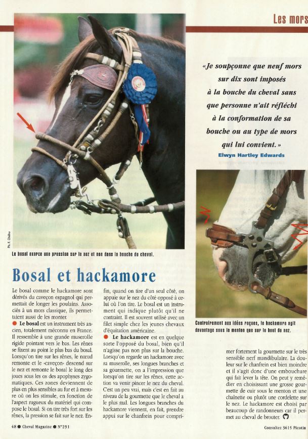 Cheval mag - les articles 2ht9