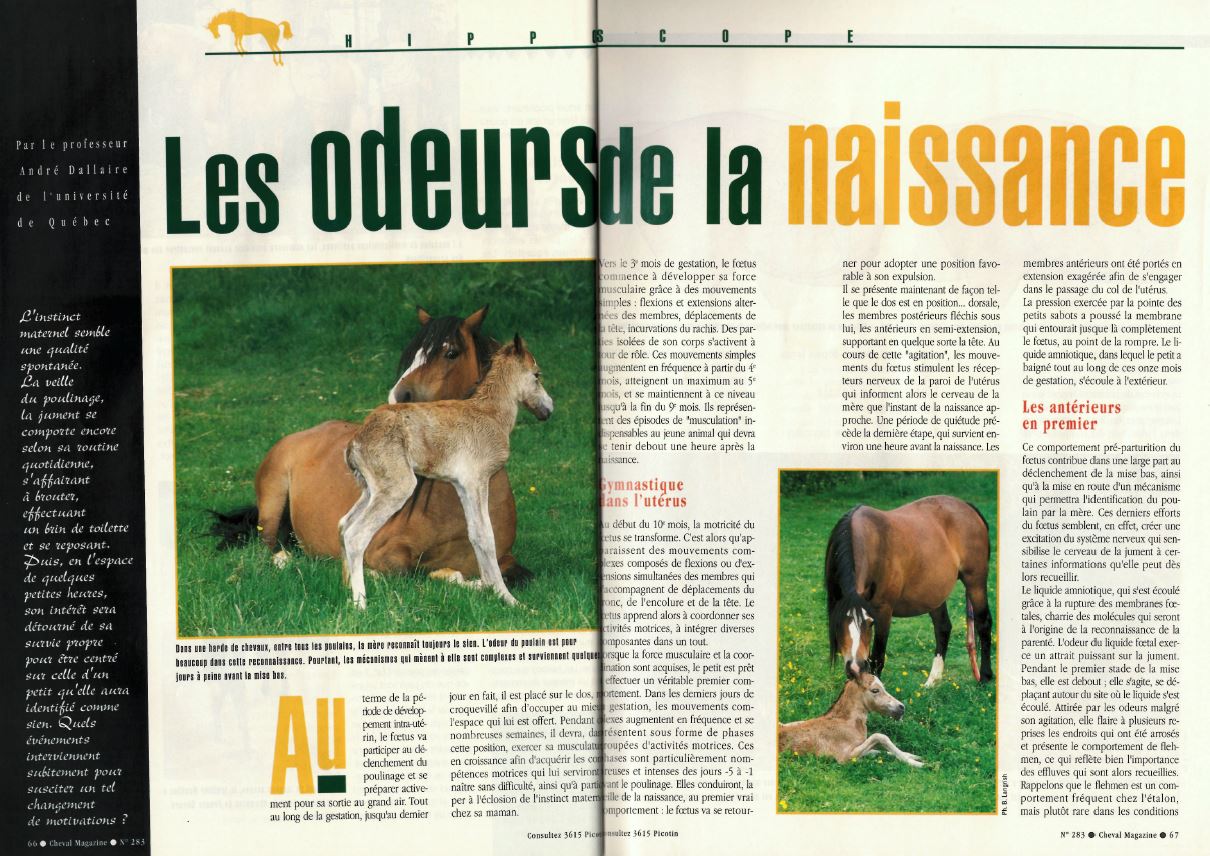 Cheval mag - les articles 7uyv