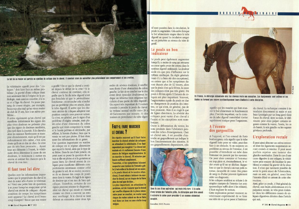 Cheval mag - les articles Azz5