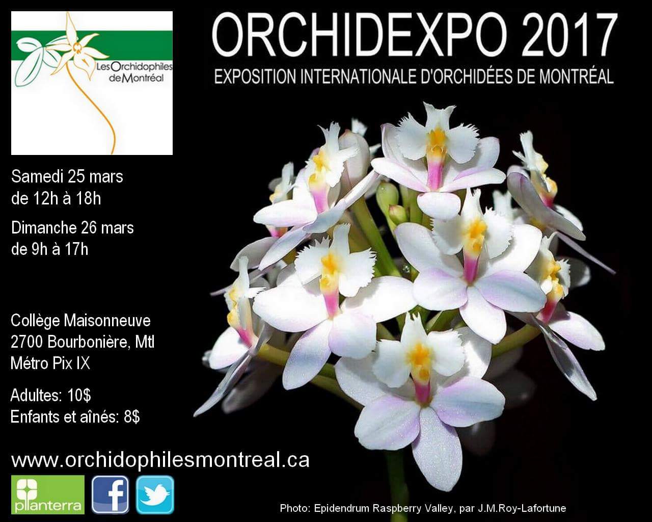 Orchid'Expo 2017 Fq47