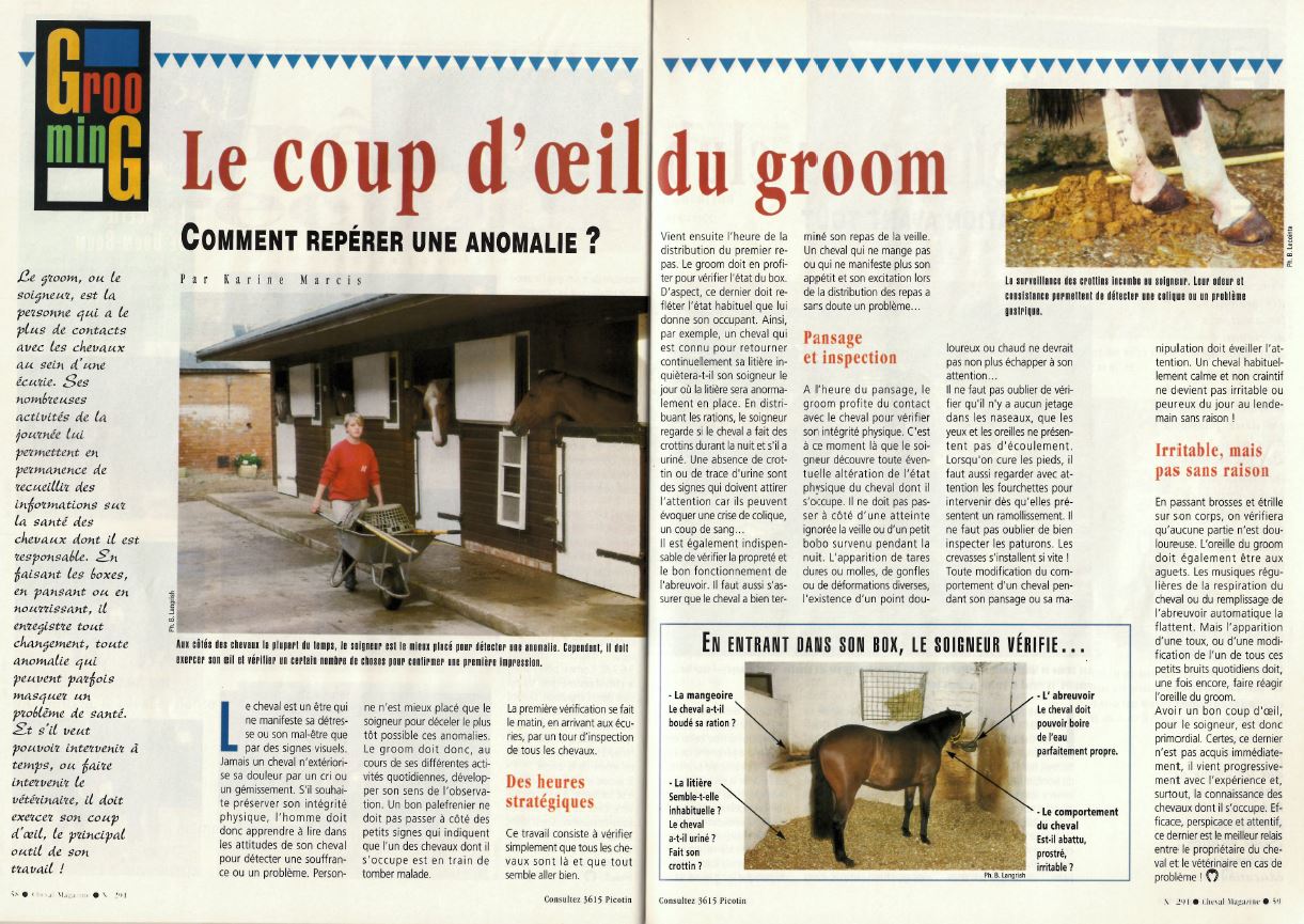 Cheval mag - les articles Vdgc
