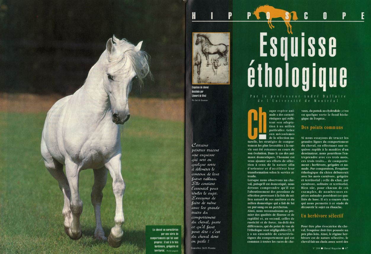 Cheval mag - les articles 32r4