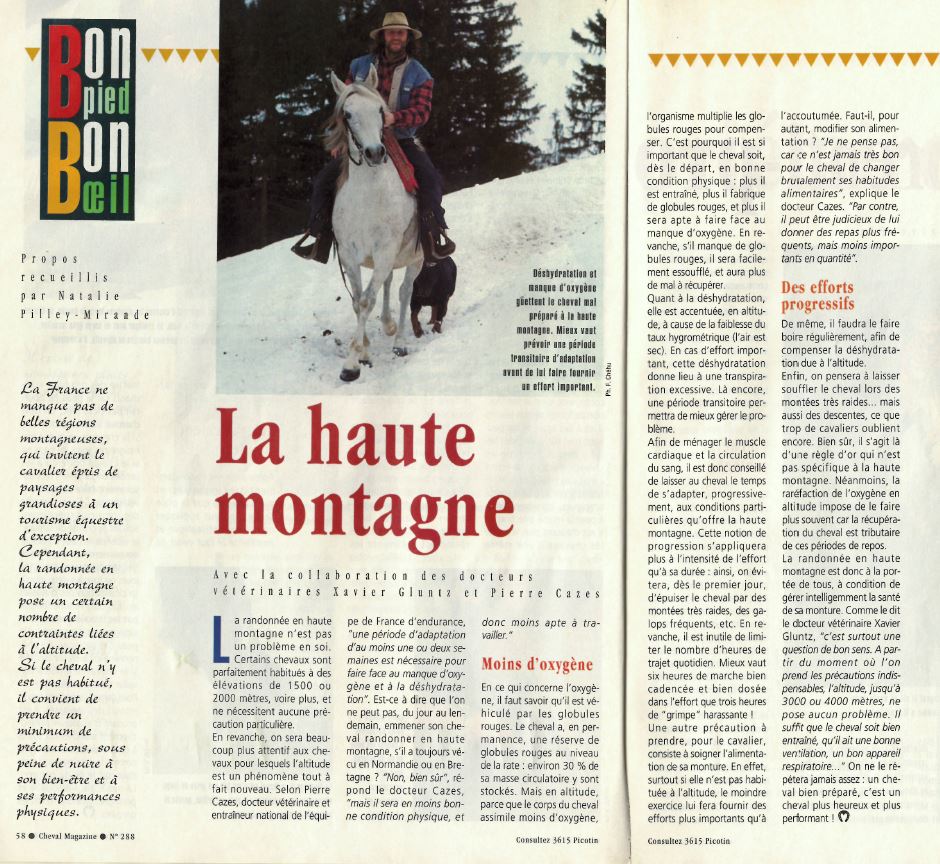 Cheval mag - les articles A035