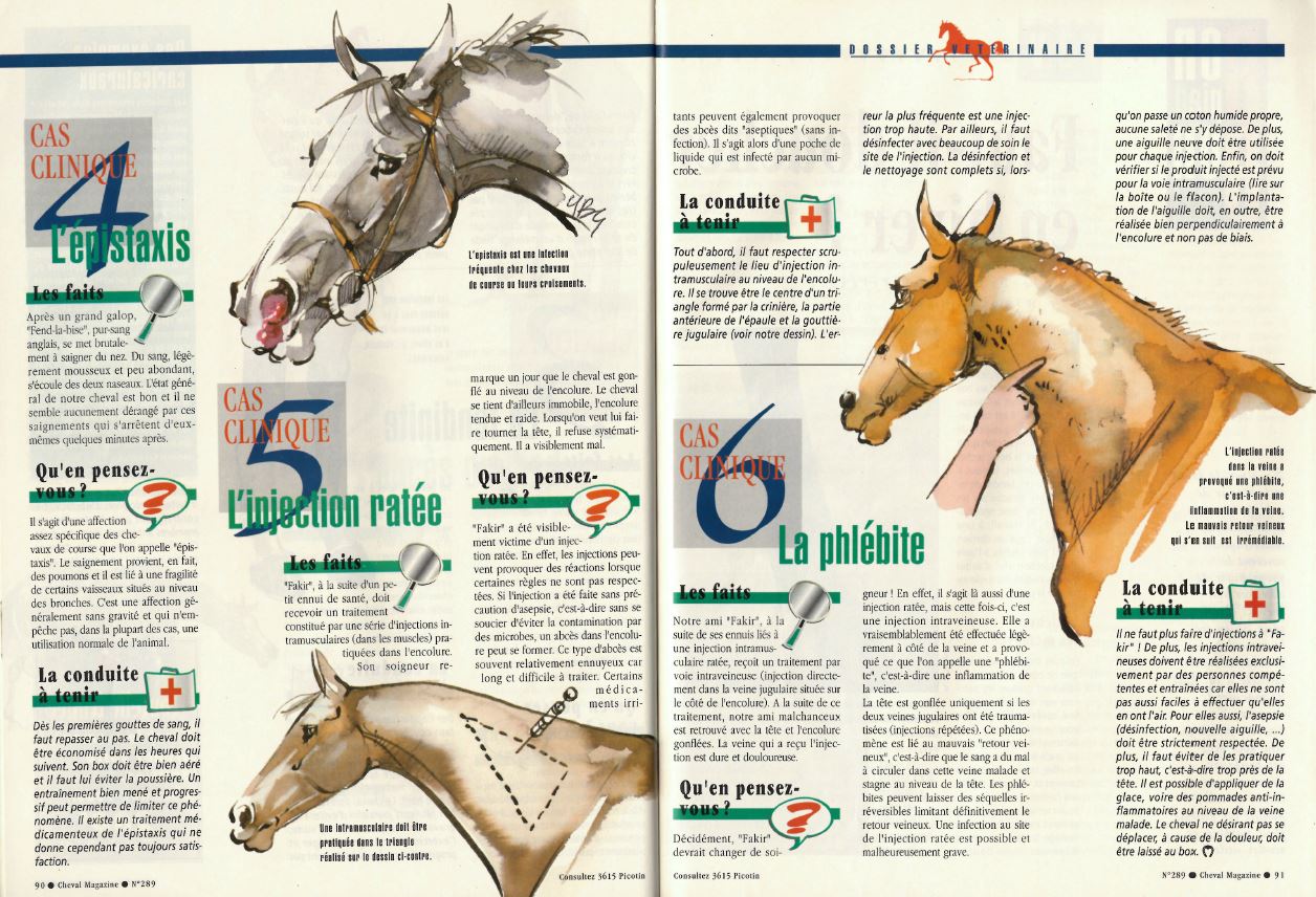 Cheval mag - les articles Cuuy