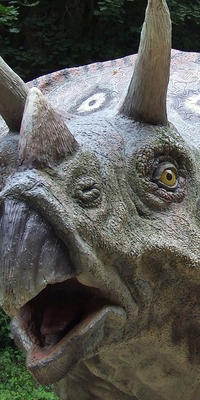 Idées d'avatars de dinosaures 469x
