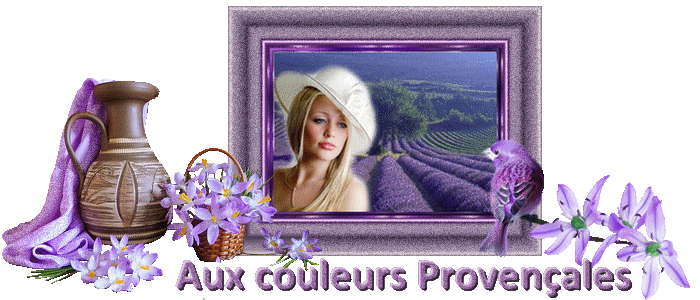 Mon thème -   Aux couleurs Provençales 80uh