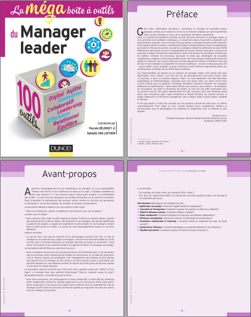 La méga boîte à outils du manager leader : 100 outils.