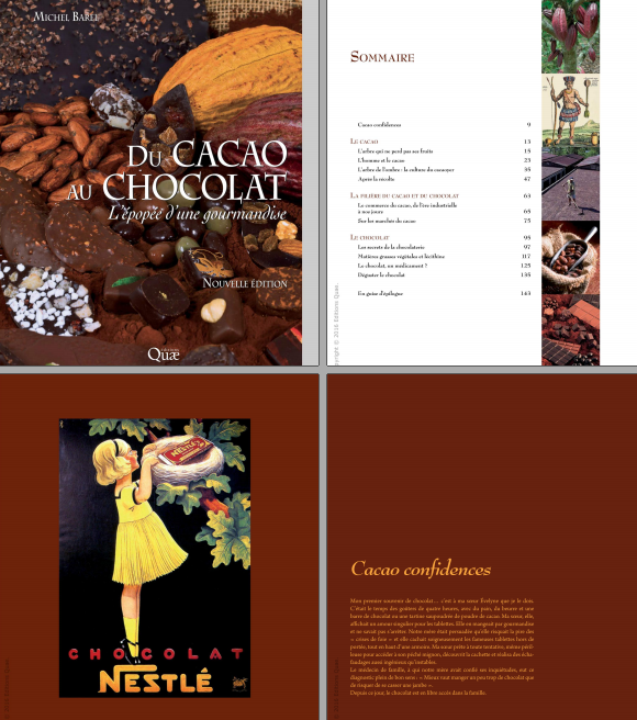 Du cacao au chocolat : L'épopée d'une gourmandise Nouvelle édition.