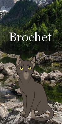 Guerrier - Croc de Brochet - 43 lunes B8wh