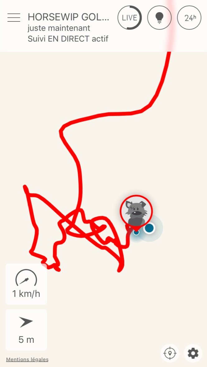 GPS chien Doxl