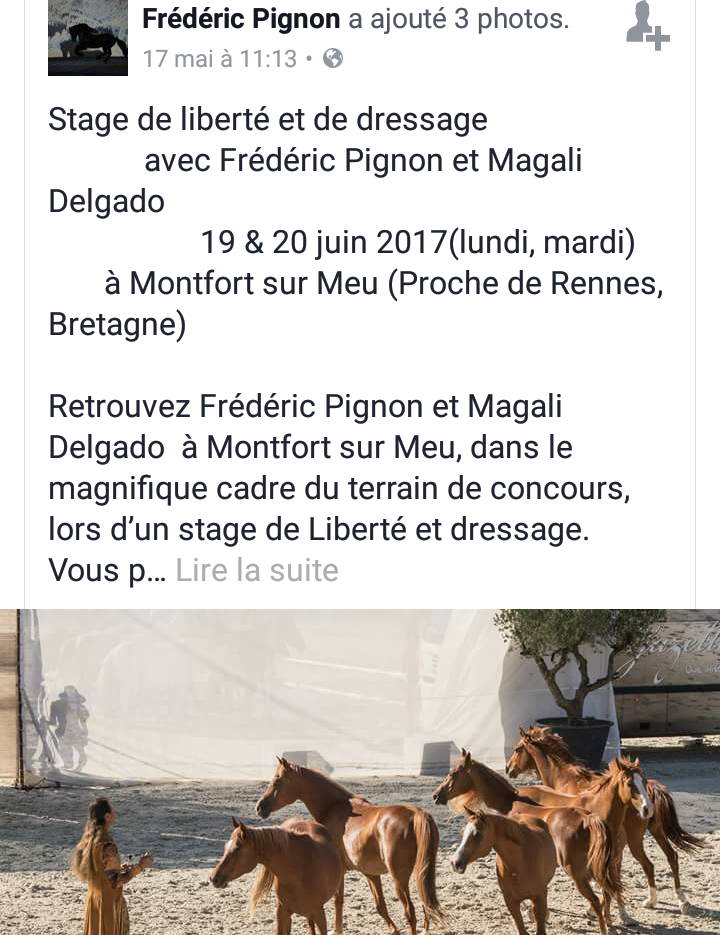 Stage Frédéric Pignon et Magali Delgado [19-20 juin 2017][Montfort sur Meu - 35] 7dx4