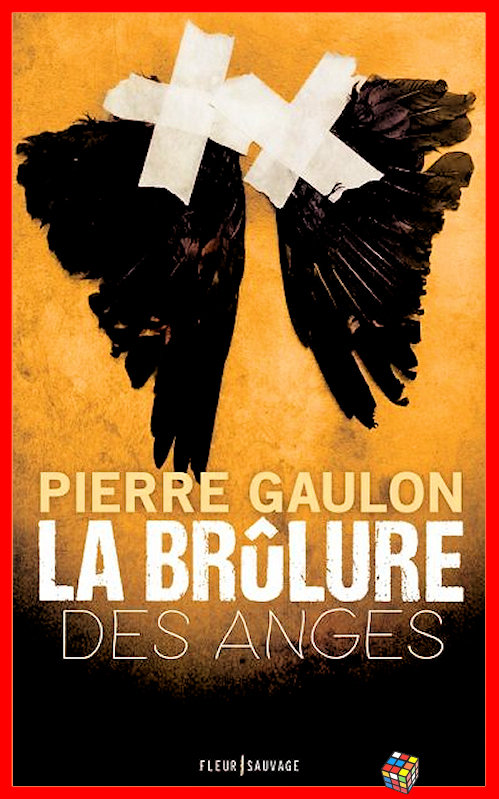 Pierre Gaulon - La brûlure des anges
